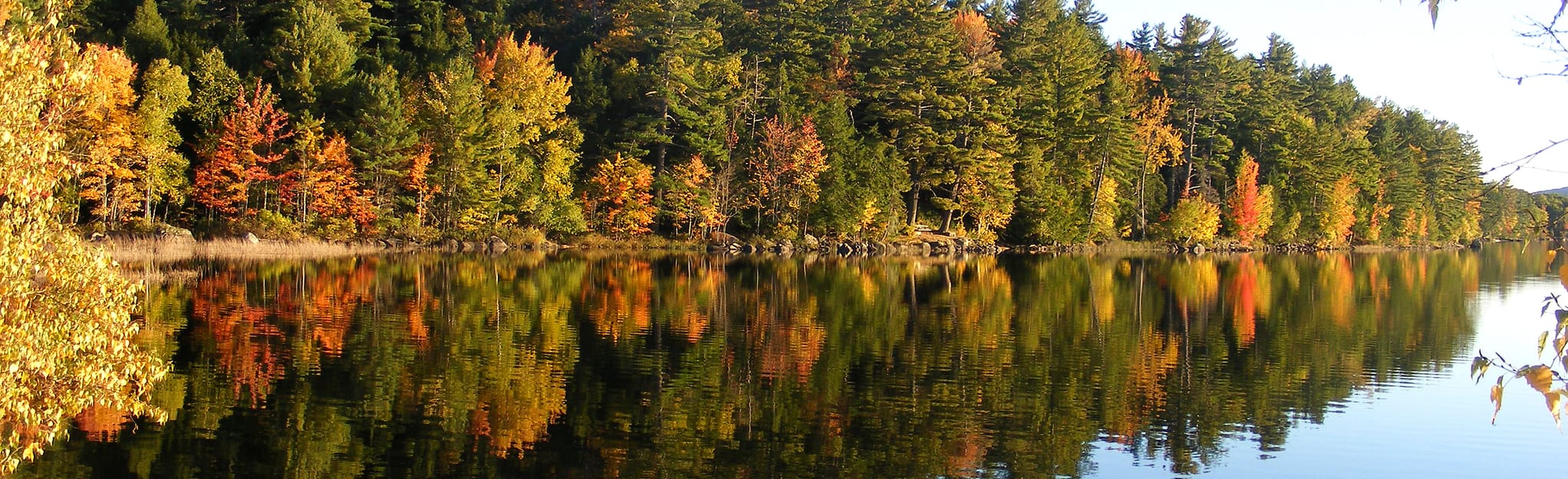 Fields Pond Audubon Center Loop 158 fotos Maine AllTrails