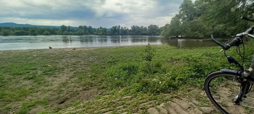 Von Ingelheim zum Heidesheim und den Inselrhein