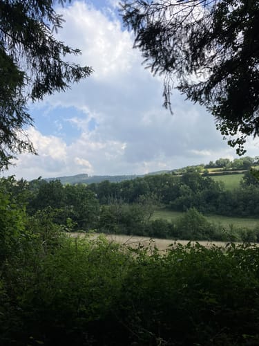 Krautscheid - Lauperath (Naturpark Südeifel Wanderweg Nr. 91)