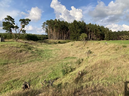Grubo - Schweinerummel - Bergholz