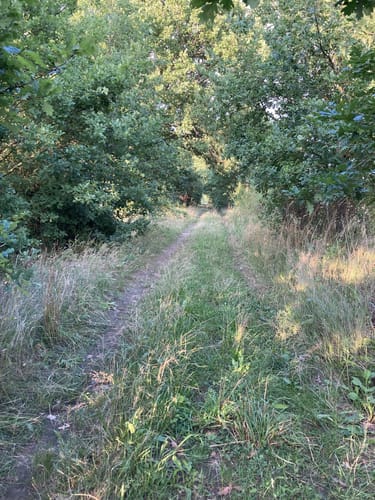 Grubo - Schweinerummel - Bergholz