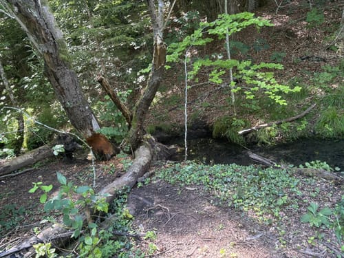 Starnberger Fünf-Seen-Land: Von Mühlfeld nach Wartaweil