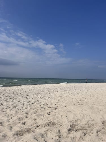 Weststrand und Darßwald