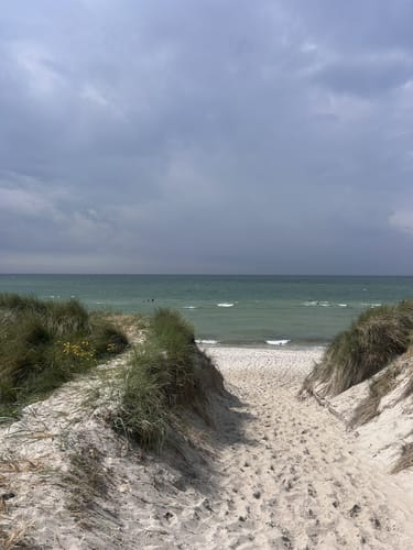 Weststrand und Darßwald