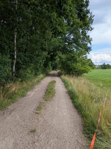 Langewiesen - Gehren - Seerosenteich