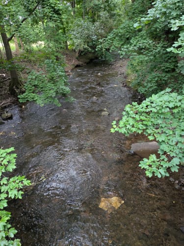 Langewiesen - Gehren - Seerosenteich