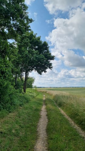 EifelSchleife Zum Bleibach