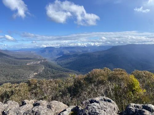 Mount Bushwalker Walking Track, New South Wales, Australia