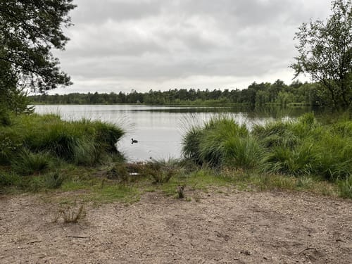 Moorerlebnispfad Grundloses Moor