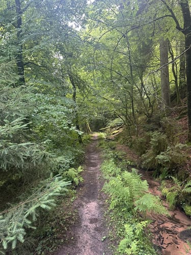 Brunnenweg - Prädikatswanderweg in Esthal
