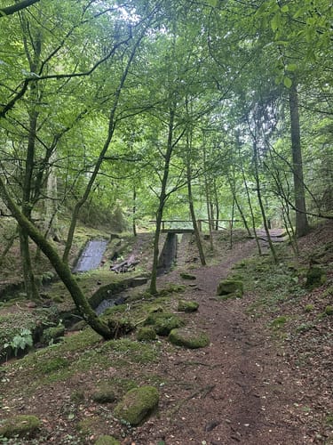 Brunnenweg - Prädikatswanderweg in Esthal
