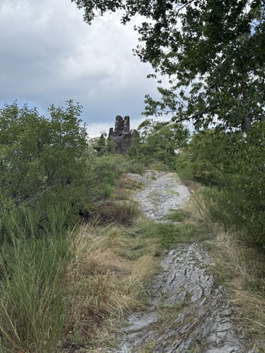 Trarbach - Graacher Schäferei - Koppelberg