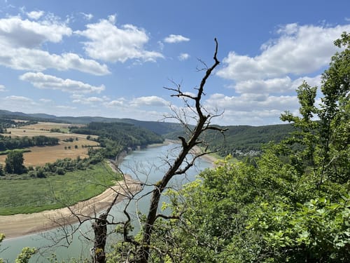 Scheid - Knorreichensteig - Kahle Haardt