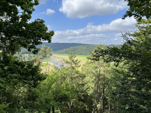 Scheid - Knorreichensteig - Kahle Haardt