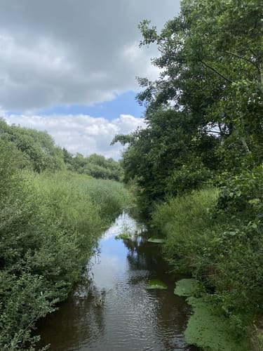 Wiesendamm an der Wörpe