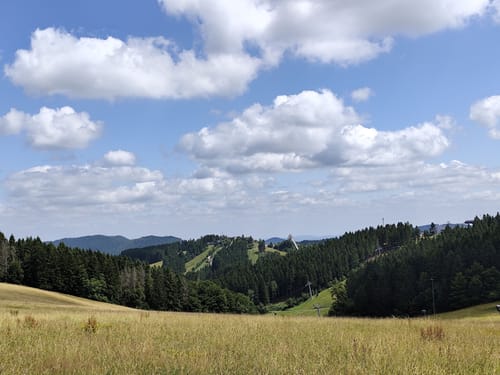 Winterberg Rundweg W5 Brembergweg