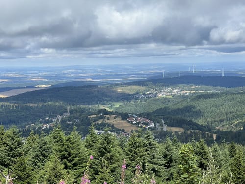 Auf den Großen Feldberg