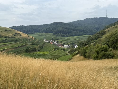 Altvogtsburg Rundweg