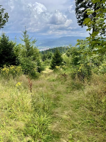 Bermersbach Runde