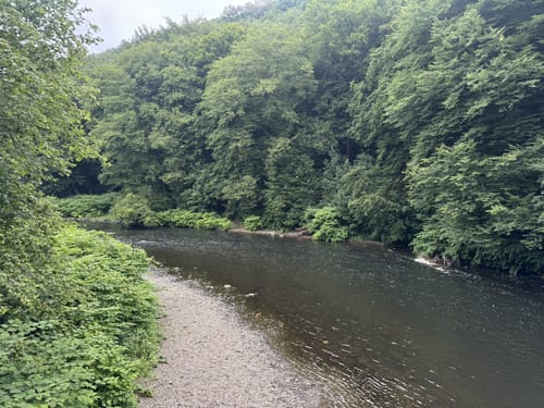 Entlang der Wupper zum Schloss Burg ab Müngstener Brückenpark