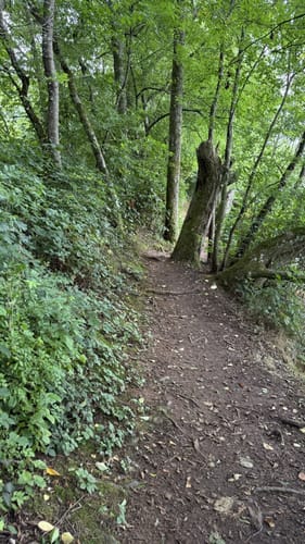 Losheim - Seegarten - Stausee