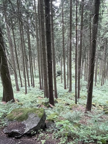 Rund um den Pöhlberg