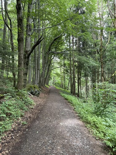 Rund um den Pöhlberg