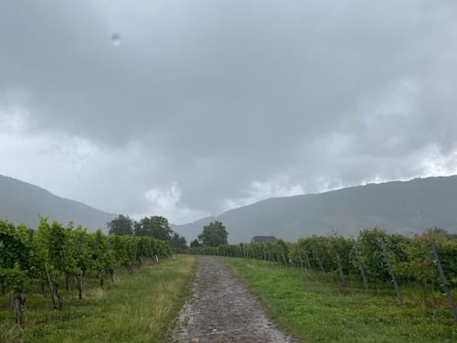 Die Römergräber in Nehren an der Mosel