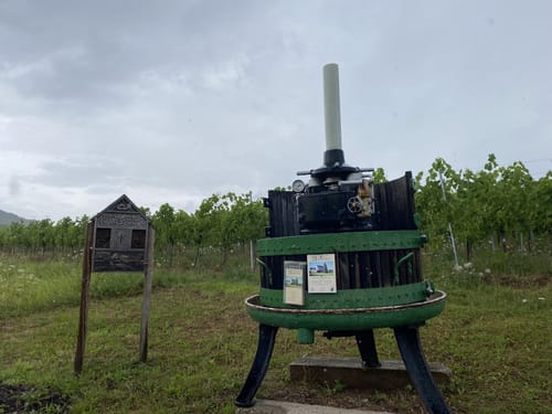 Die Römergräber in Nehren an der Mosel