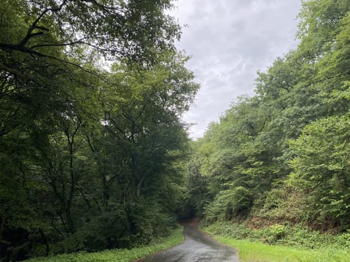 Die Römergräber in Nehren an der Mosel