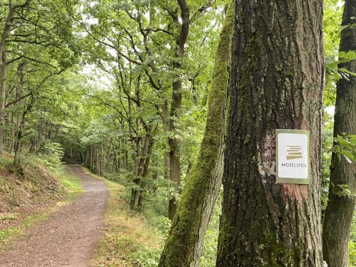 Die Römergräber in Nehren an der Mosel