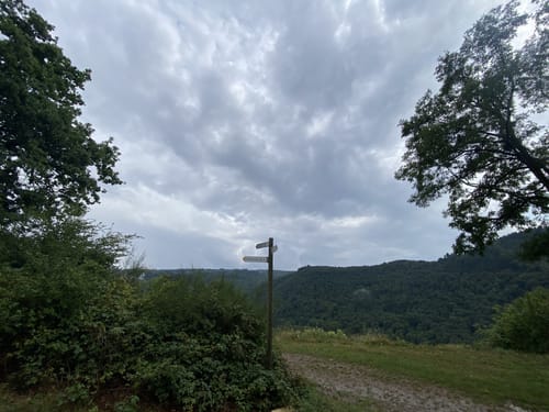 Die Römergräber in Nehren an der Mosel