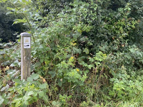 Die Römergräber in Nehren an der Mosel