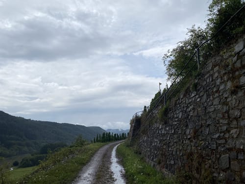 Die Römergräber in Nehren an der Mosel