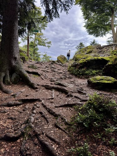 Ochseneben Trail