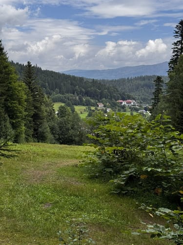Ochseneben Trail