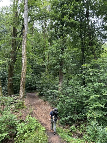 Nahequelle-Pfad (Premiumwanderweg)