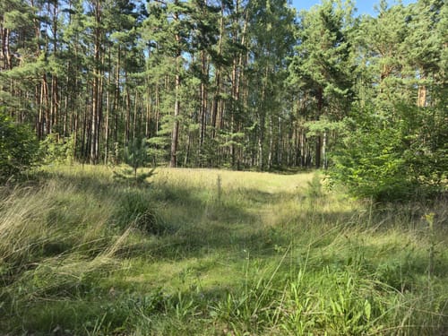 Summter See - Tegeler Fließtal