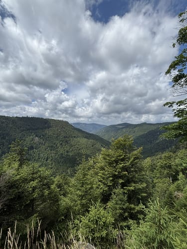 Feldberg-Ort - Feldsee - Feldberg