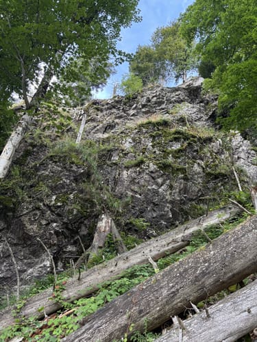 Feldberg-Ort - Feldsee - Feldberg
