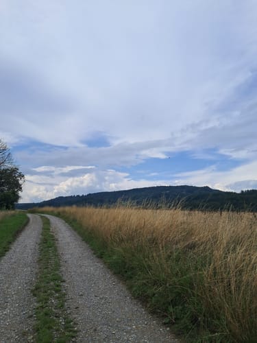 Franziskusweg Deggenhausertal