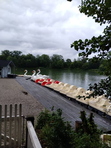 Um den Großen Teich im Kurpark Bad Nauheim