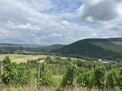 Vom Warsberg nach Ayl