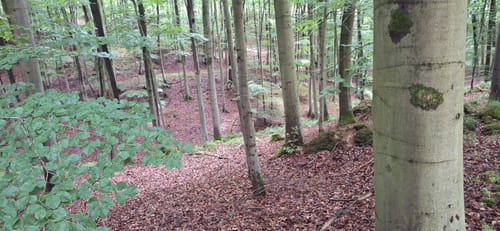 Durchs Habichtstal (Po 2)