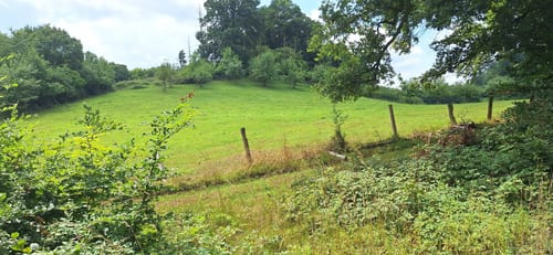 Durchs Habichtstal (Po 2)