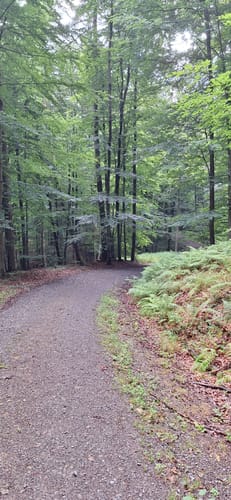 Durchs Habichtstal (Po 2)