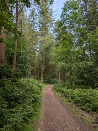Wander-Tour Harburger Berge (W1)