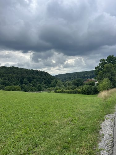 Bebenhausen - Goldersbachtal - Wildgehege