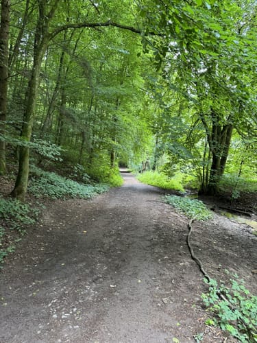 Durch Zweibrücken und zum Landschloss Fasanerie