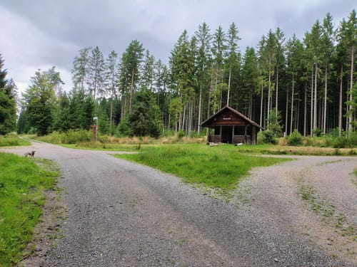 Trestenbachweiher Runde